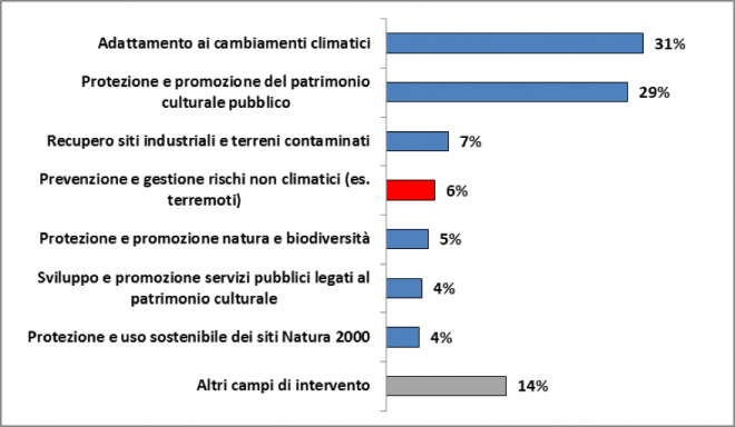 ciffolilli1